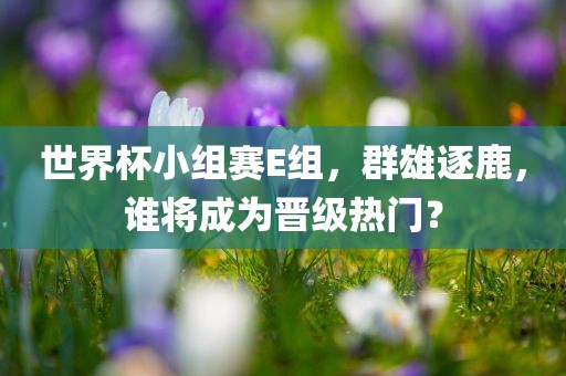 世界杯小组赛E组，群雄逐鹿，谁将成为晋级热门？
