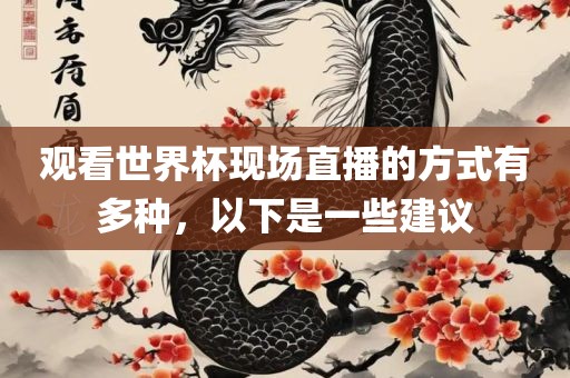 观看世界杯现场直播的方式有多种，以下是一些建议