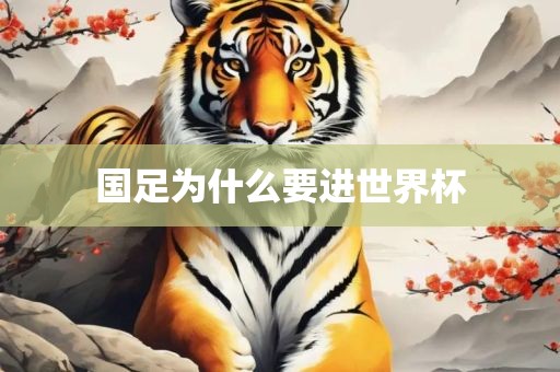 国足为什么要进世界杯洛阳市法福文化传播有限公司