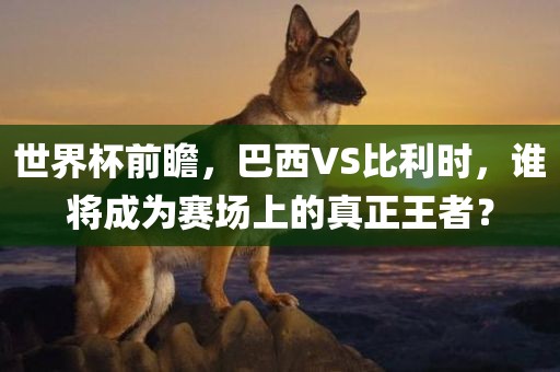 世界杯前瞻，巴西VS比利时，谁将成为赛场上的真正王者？洛阳市法福文化传播有限公司