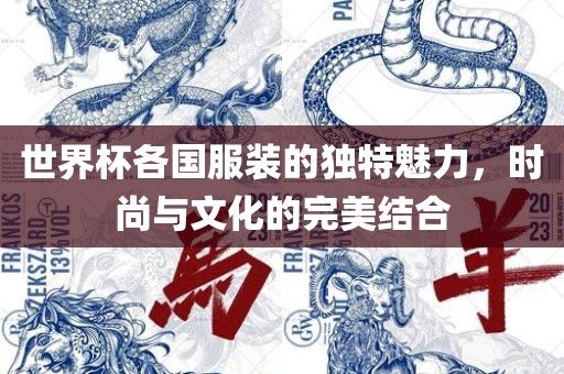 世界杯各国服装的独特魅力，时尚与文化的完美结合