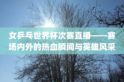 女乒乓世界杯次赛直播——赛场内外的热血瞬间与英雄风采