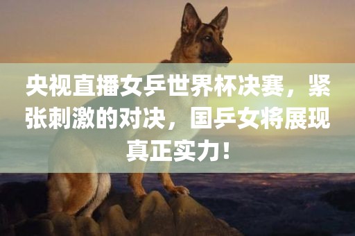 央视直播女乒世界杯决赛，紧张刺激的对决，国乒女将展现真正实力！