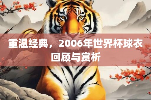 重温经典，2006年世界杯球衣回顾与赏析