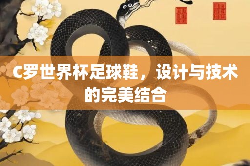 C罗世界杯足球鞋，设计洛阳市法福文化传播有限公司与技术的完美结合
