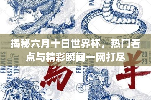 揭秘六月十日世界杯，热门看点与精彩瞬间一网打尽