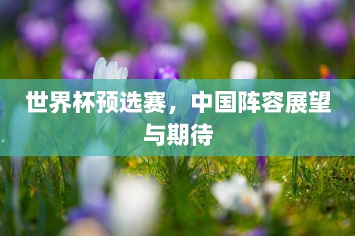 世界杯预选赛，中国阵容展望与期洛阳市法福文化传播有限公司待