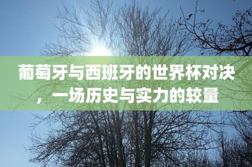 葡萄牙与西班牙的世界杯对决，一场历史与实力的较量