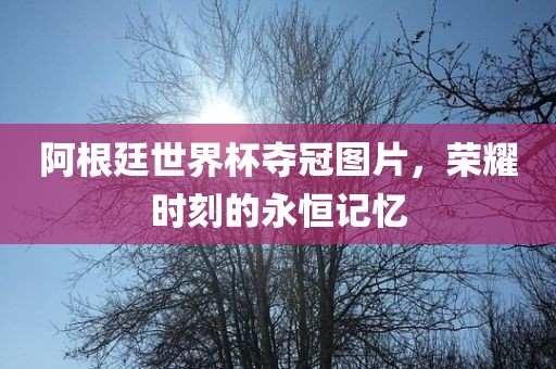 阿根廷世界杯夺冠图片，荣耀时刻的永恒记忆