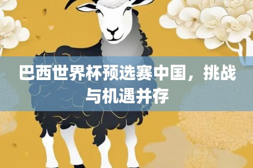 巴西世界杯预选赛中国，挑战与机遇并存
