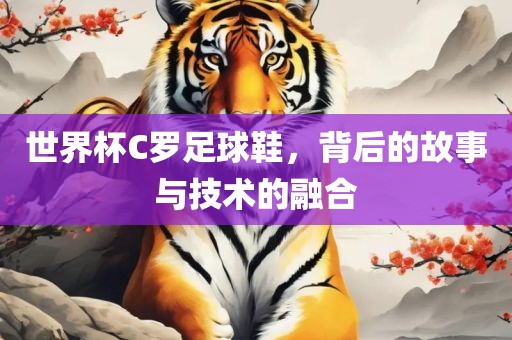 世界杯C罗足球鞋，背后的故事与技术的融合洛阳市法福文化传播有限公司