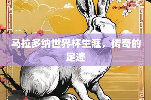 马拉多纳世界杯生涯，传奇的足迹