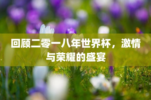 回顾二零一八年世界杯，激情与荣耀的盛宴洛阳市法福文化传播有限公司