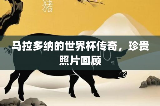 马拉多纳的世界杯传奇，珍贵照片回顾