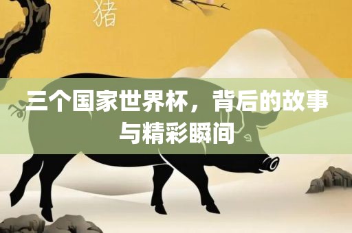 三个国家世界杯，背后的故事与精彩瞬间