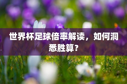 世界杯足球倍率解读，如何洞悉胜算？