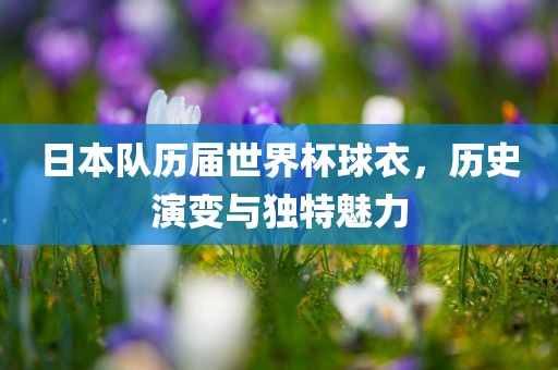 日本队历届世界杯球衣，历史演变与独特魅力