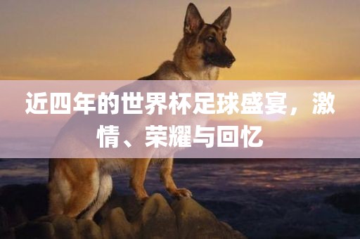 近四年的世界杯足球盛宴，激情、荣耀与回忆洛阳市法福文化传播有限公司