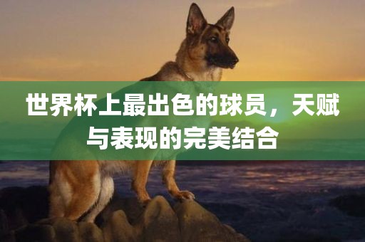世界杯上最出色的球员，天赋与表现的完美结合