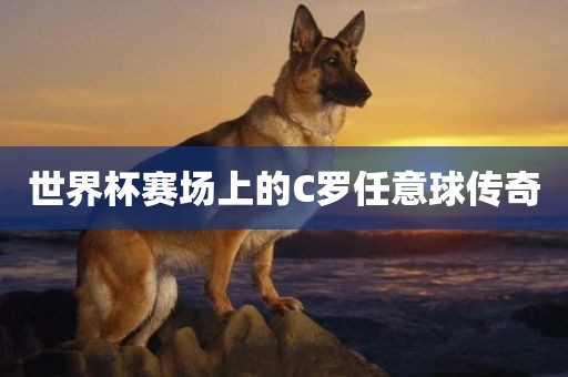 洛阳市法福文化传播有限公司世界杯赛场上的C罗任意球传奇