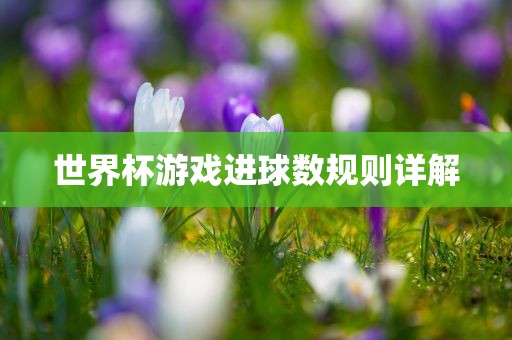 世界杯游戏进球数规则详解洛阳市法福文化传播有限公司