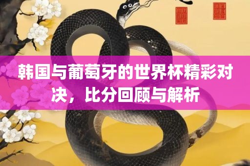 韩国与葡萄牙的世界杯精彩对决，比分回顾与解析