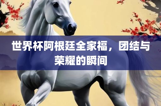 世界杯阿根廷全家福，团结与荣耀的瞬间