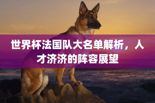 世界杯法国队大名单解析，人才济济的阵容展望