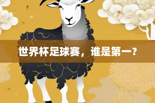 世界杯足球赛