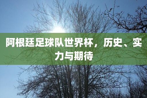 阿根廷足球队世界杯，历史、实力与期待