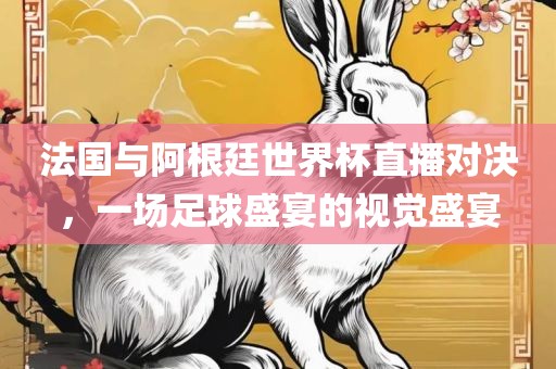 法国与阿根廷世界杯直播对决，一场足球盛宴的视觉盛宴