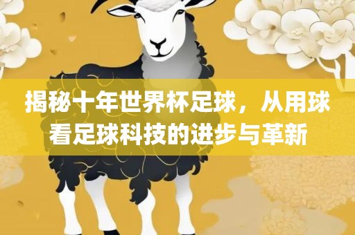 揭秘十年世界杯足球，从用球看足球科技的进步与革新洛阳市法福文化传播有限公司
