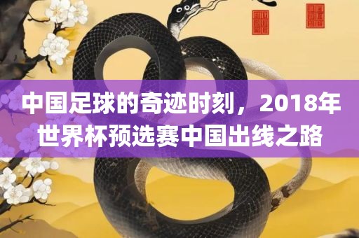 中国足球的奇迹时刻，2018年世界杯预选赛中国出线之路