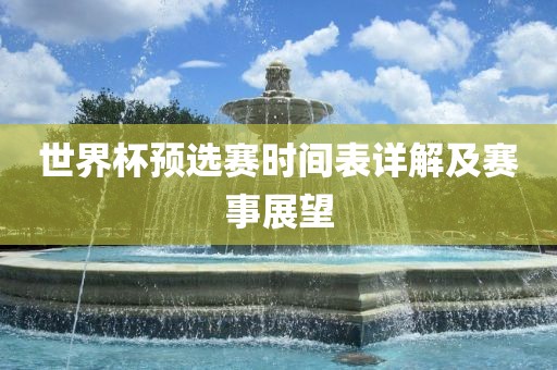 世界杯预选赛