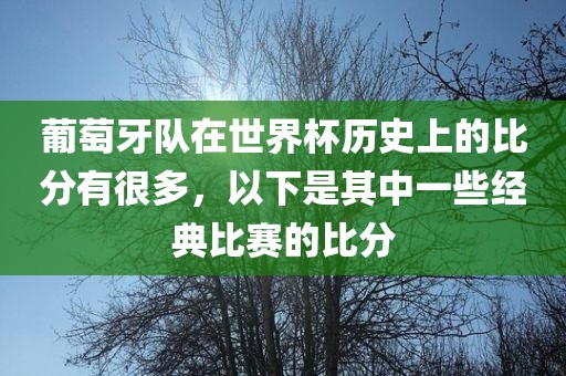 葡萄牙队在世界杯历史上的比分有很多，以下是其中一些经典比赛的比分