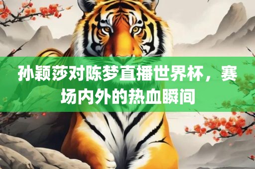 孙颖莎对陈梦直播世界杯，赛场内外的热血瞬间洛阳市法福文化传播有限公司