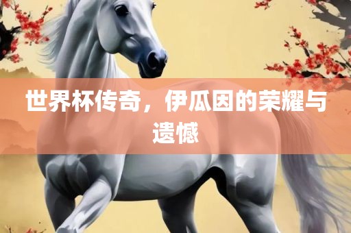 世界杯传奇，伊瓜因的荣耀与遗憾洛阳市法福文化传播有限公司