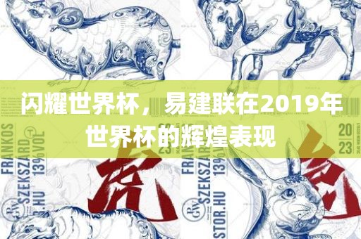 闪耀世界杯，易建联在2019年世界杯的辉煌表现洛阳市法福文化传播有限公司
