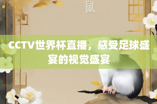 CCTV世界杯直播，感受足球盛宴的视觉盛宴