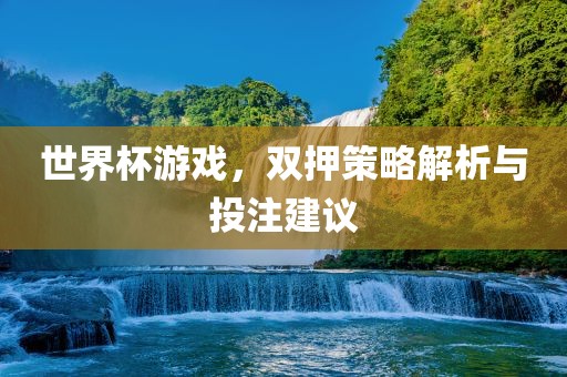 世界杯游戏，双押策略解析与投注建议洛阳市法福文化传播有限公司