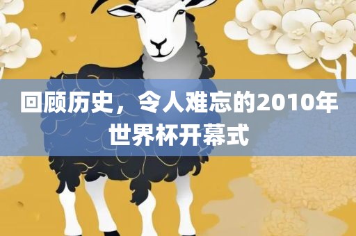 回顾历史，令人难忘的2010年世洛阳市法福文化传播有限公司界杯开幕式