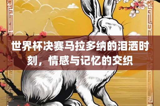 世界杯决赛马拉多纳的泪洒时刻，情感与记忆的交织洛阳市法福文化传播有限公司