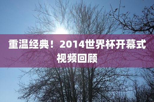 重温经典！2014世界杯开幕式视频回顾洛阳市法福文化传播有限公司