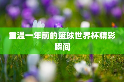 重温一年前的篮球世界杯精彩瞬间