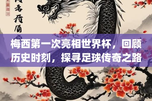 梅西第一次亮相世界杯，回顾历史时刻，探寻足球传奇之路