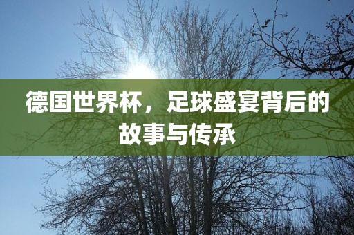 德国世界杯，足球盛宴背后的故事与传承洛阳市法福文化传播有限公司