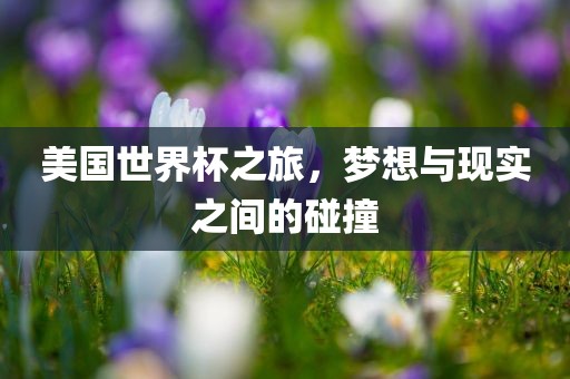 美国世界杯之旅，梦想与现实之间的碰撞