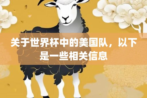 关于世界杯中的美国队，以下是一些相关信息