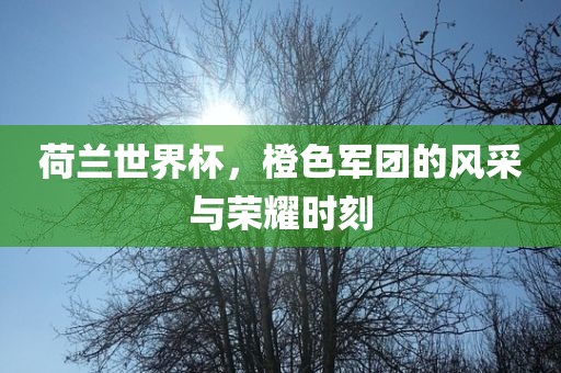 荷兰世界杯，橙色军团的风采与荣耀时刻洛阳市法福文化传播有限公司