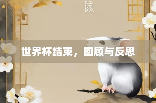 世界杯结束，回顾与反思